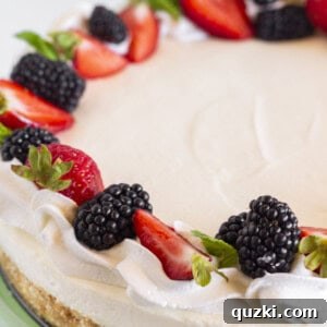 A whole no bake vanilla cheesecake beautifully garnished with a variety of fresh fruit on top, ready to be sliced and served.