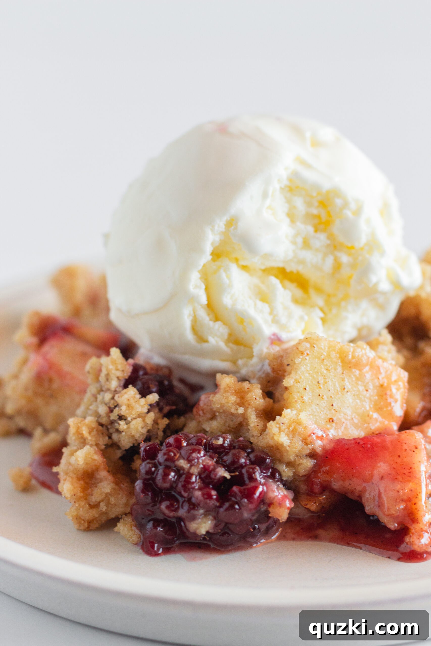 Sweet Tangy Apple Blackberry Crumble 5 Close-up of a single serving of Apple and Blackberry Crumble with melted vanilla ice cream.