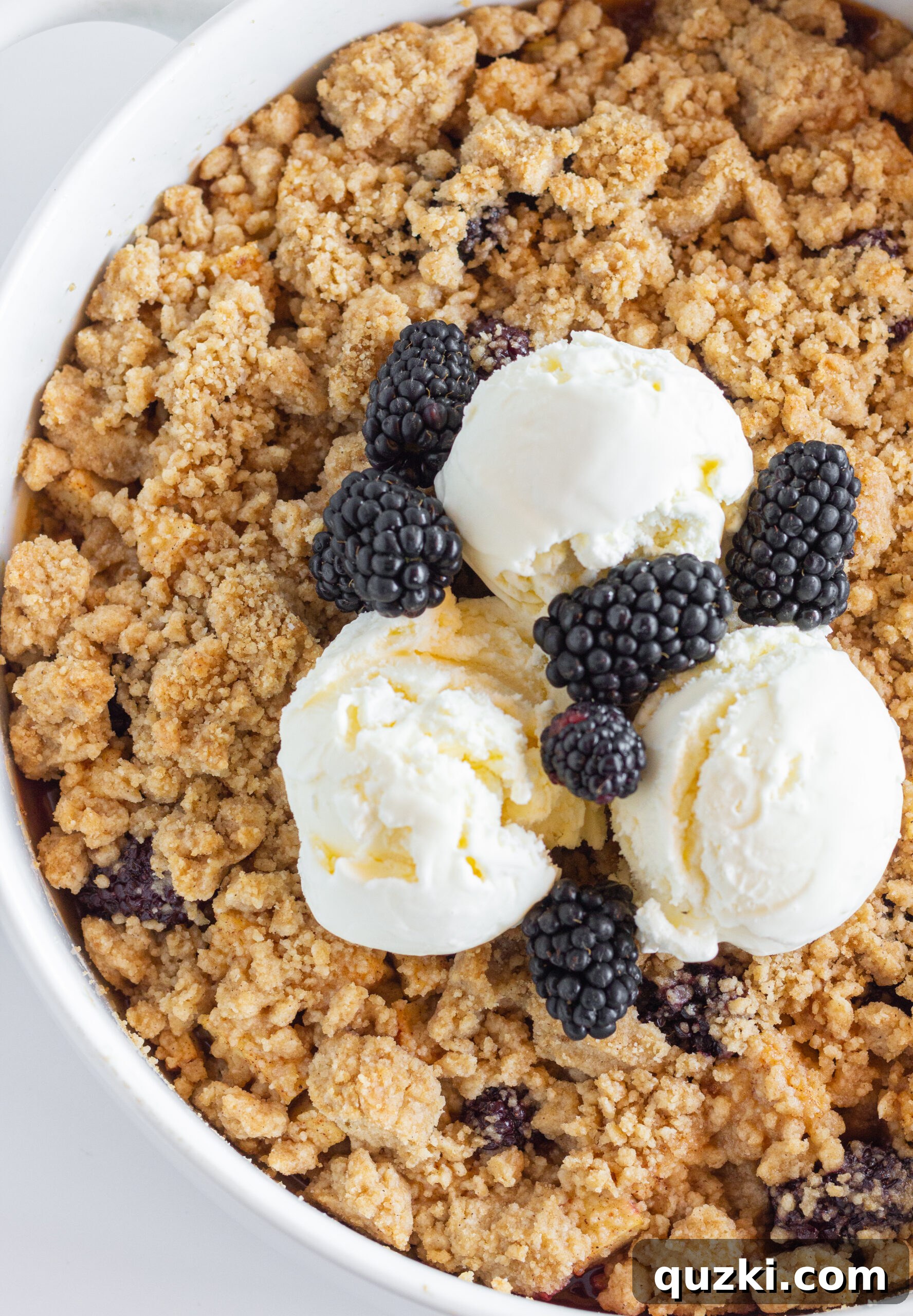 Sweet Tangy Apple Blackberry Crumble 6 Beautifully presented Apple and Blackberry Crumble, ready to be served as a delightful fall dessert.