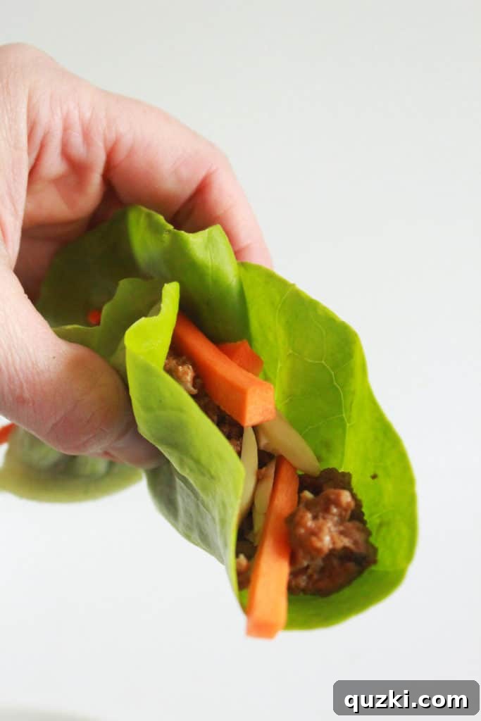 Vibrant Asian Turkey Lettuce Bites 9 A beautifully presented plate of Asian Turkey Lettuce Wraps, featuring several wraps arranged artfully with extra toppings on the side. Emphasizes a healthy, satisfying, and visually appealing low-carb dinner.