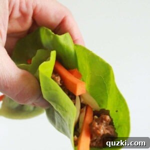 Vibrant Asian Turkey Lettuce Bites 10 Asian Turkey Lettuce Wraps - main image for recipe card
