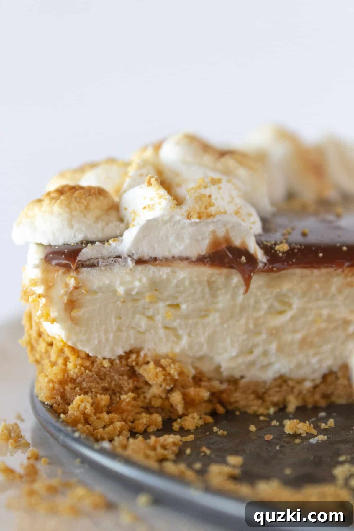 S'mores No Bake Cheesecake featuring a graham cracker crust, chocolate ganache, and perfectly toasted marshmallow topping.