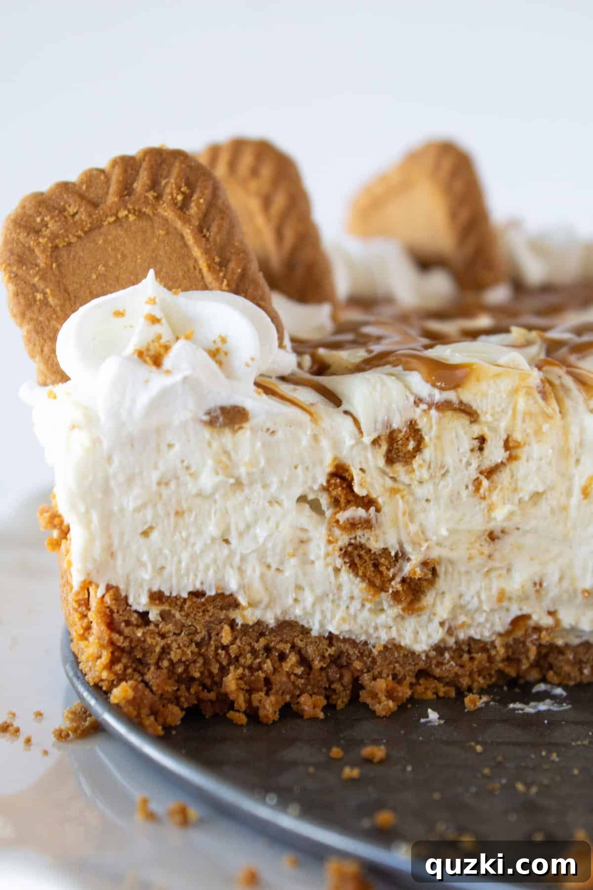 Cookie Butter No Bake Cheesecake topped generously with Biscoff cookie crumbs and a swirl of creamy cookie butter.
