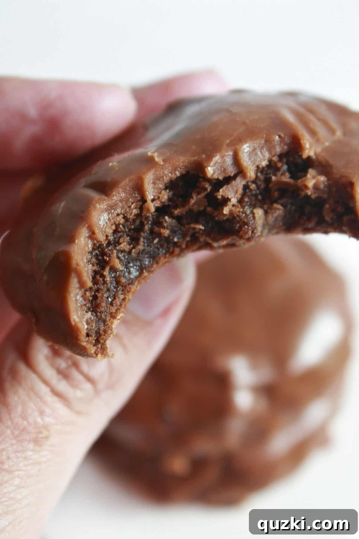 20 Festive Cake Mix Cookies Made Easy 7 A perfectly baked Texas Sheet Cake Cookie, featuring its signature rich chocolate and decadent frosting, being savored.