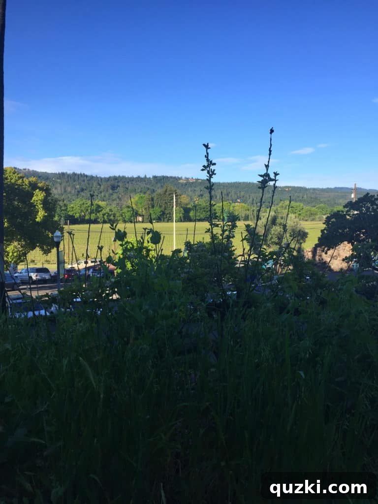 The grand entrance of the Culinary Institute of America at Greystone, Napa Valley