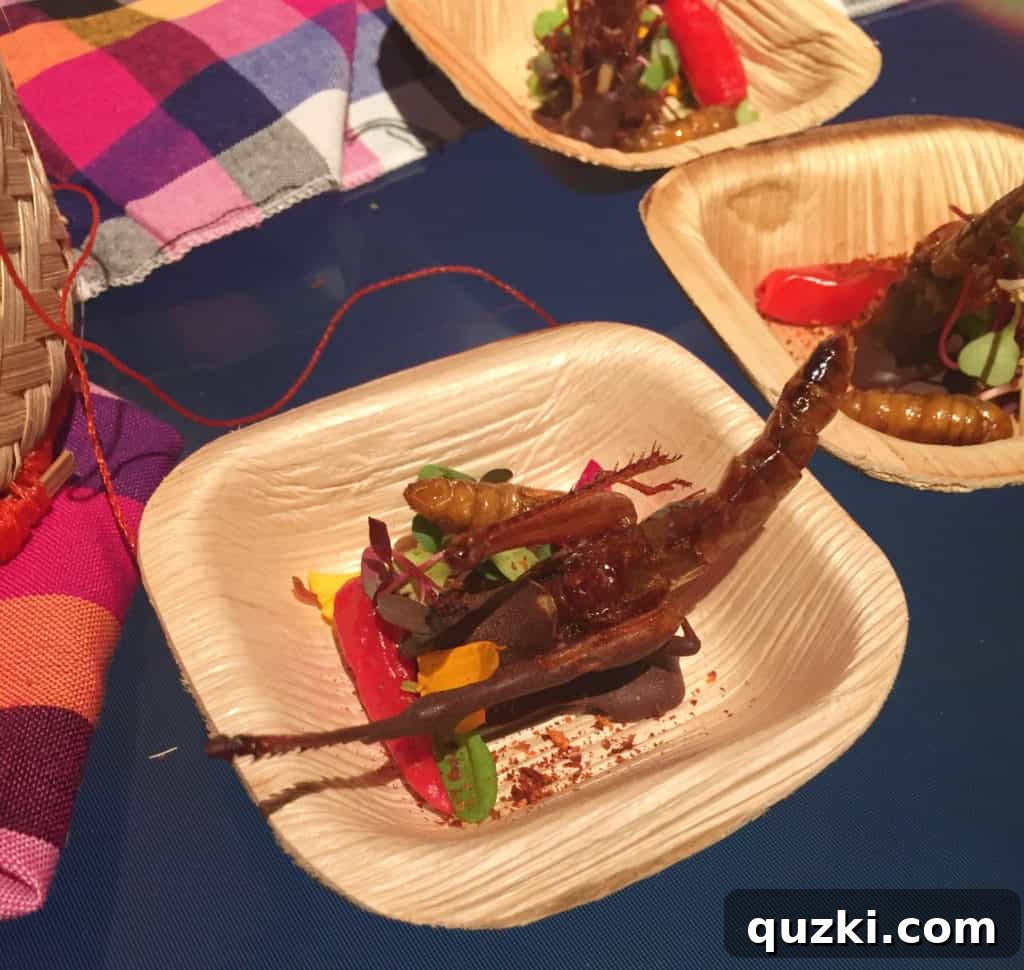 Chocolate covered grasshopper or cricket, an exotic culinary tasting