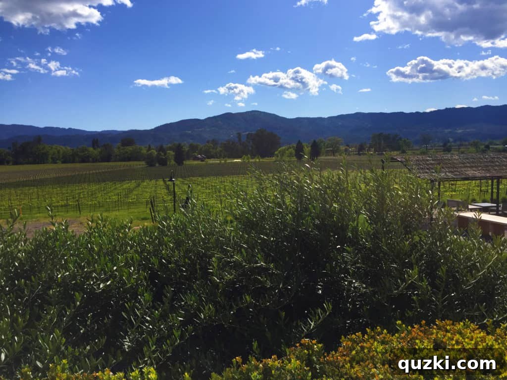 The beautiful outdoor patio and vineyard view at Mumm Napa
