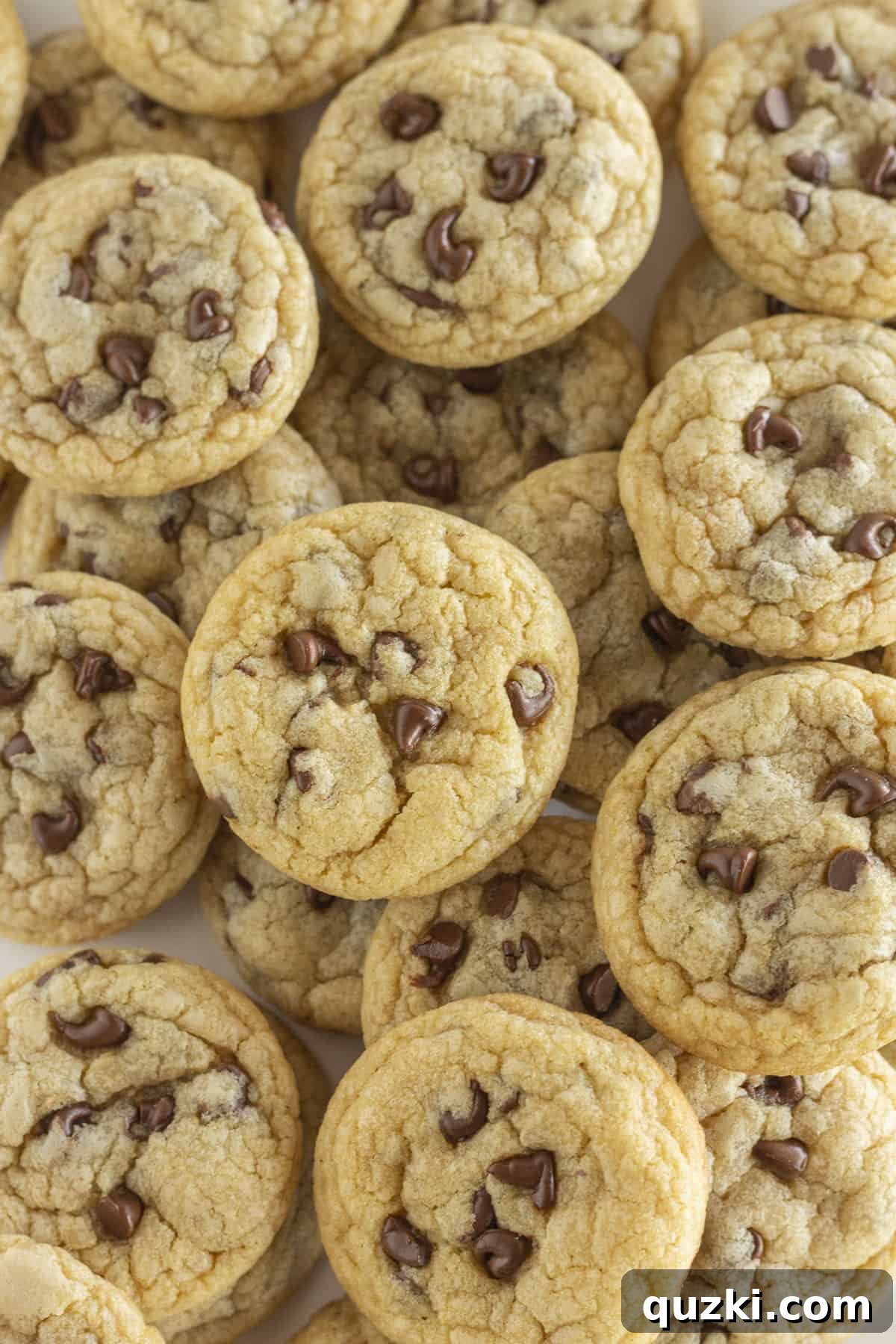 Miniature Chocolate Delights 2 A tray full of perfectly baked mini chocolate chip cookies, golden brown and speckled with chocolate.