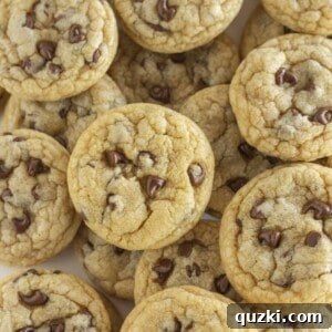 A tray full of mini chocolate chip cookies, freshly baked and ready to eat.