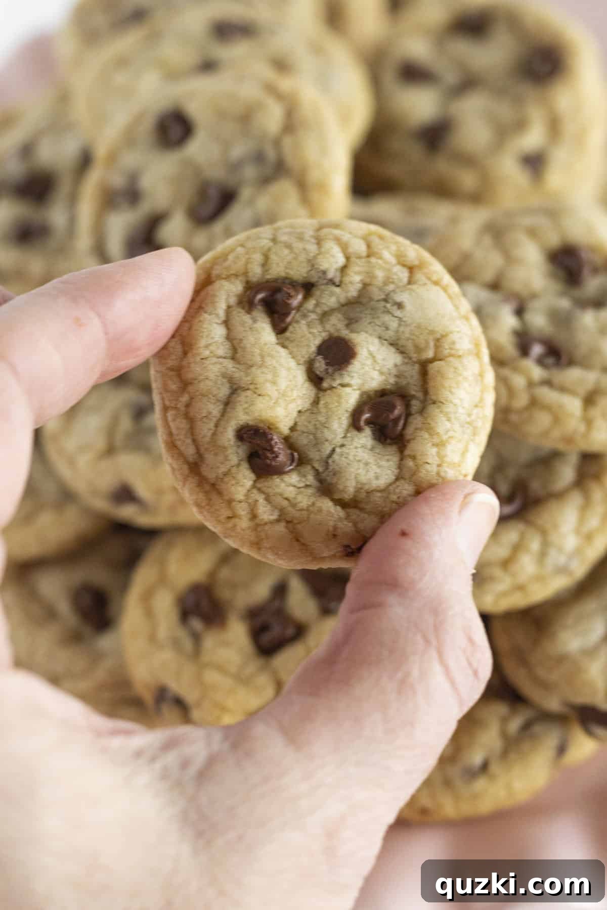 Miniature Chocolate Delights 7 A charming cake plate filled with mini chocolate chip cookies, with one cookie held between two fingers to perfectly illustrate its small, delightful size.