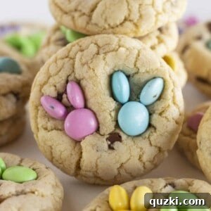 A dozen Easter Chocolate Chip Cookies.