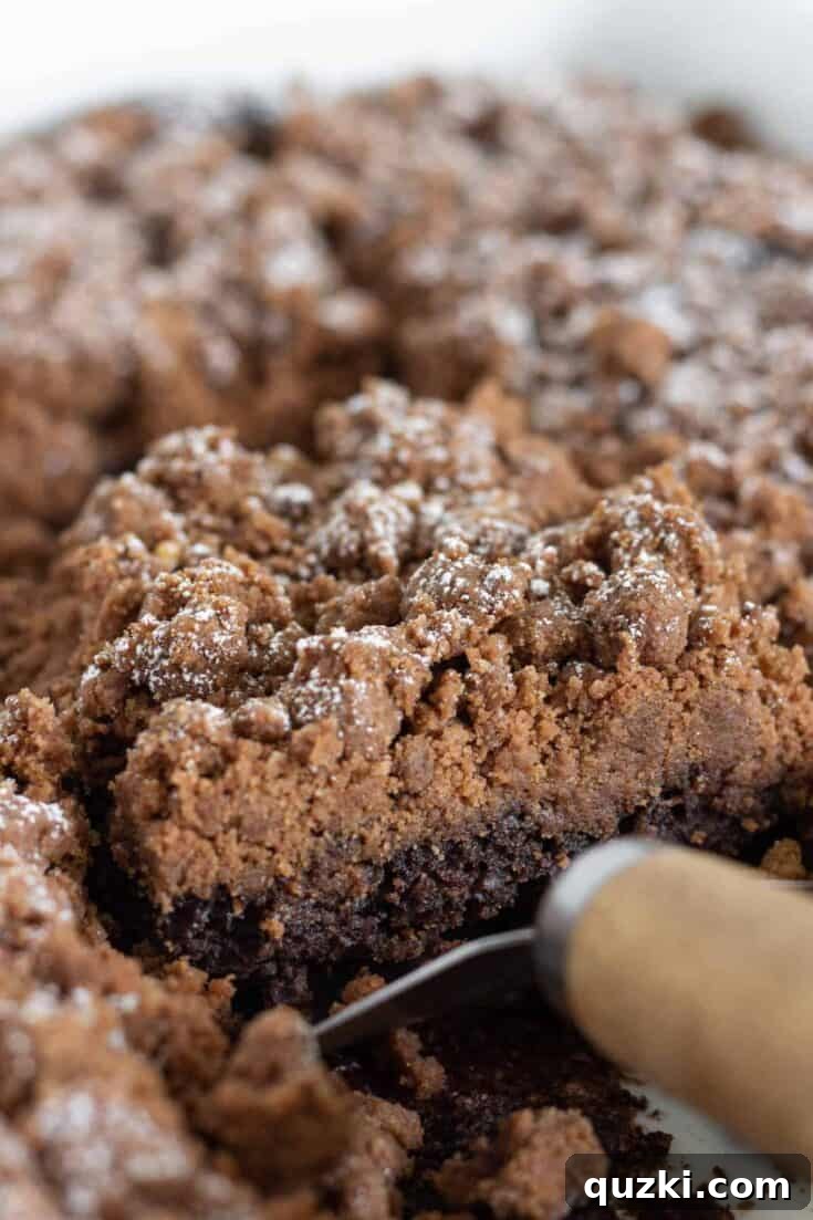 Decadent chocolate crumb cake with a rich chocolate topping, made from a cake mix for an easy Mother's Day dessert.