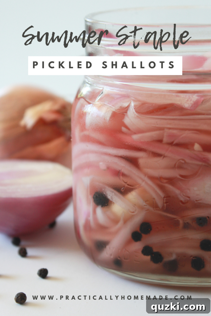 Tangy Shallot Gems 2 Pickled Shallots: Sweet and tangy slices ready to enhance any meal