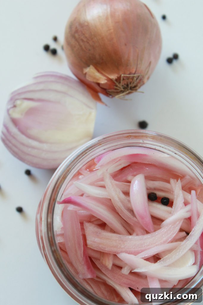 Tangy Shallot Gems 9 Close-up of vibrant quick pickled shallots ready to serve