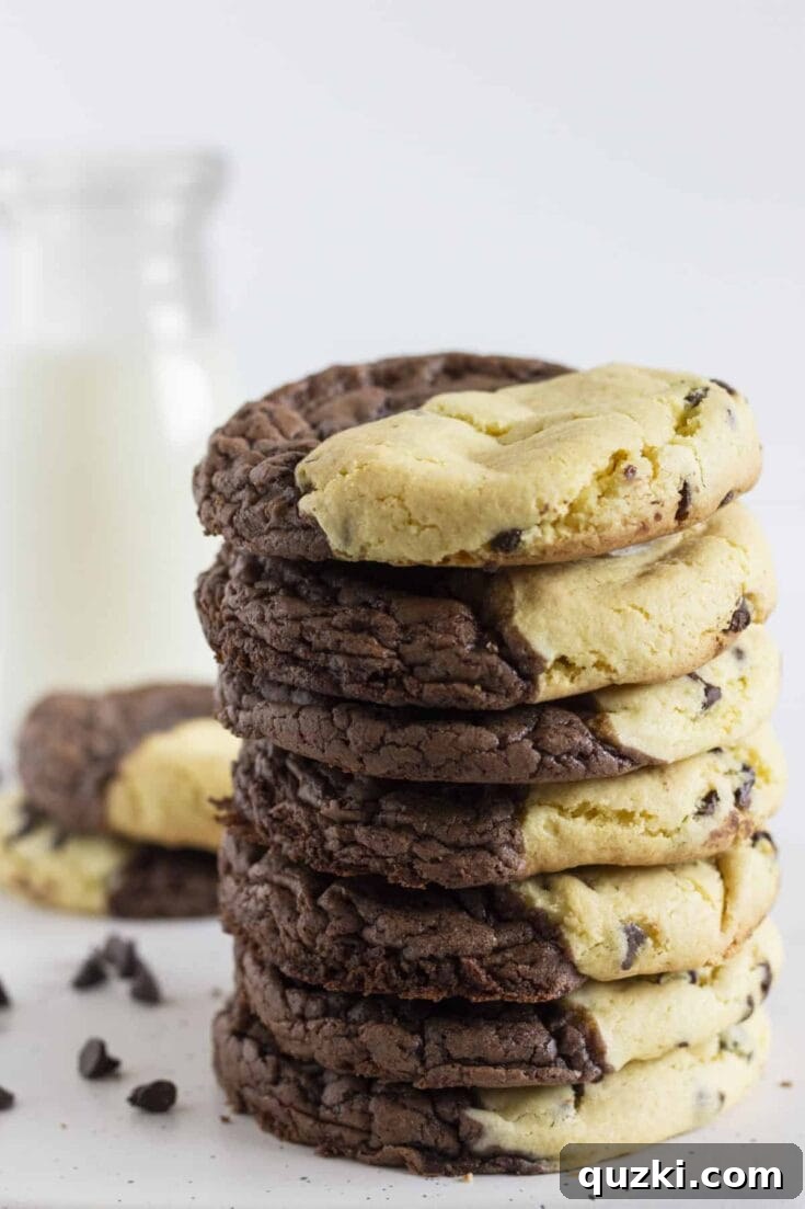 Quick and Easy Brookie Cookies, a fusion of brownie and chocolate chip cookie.