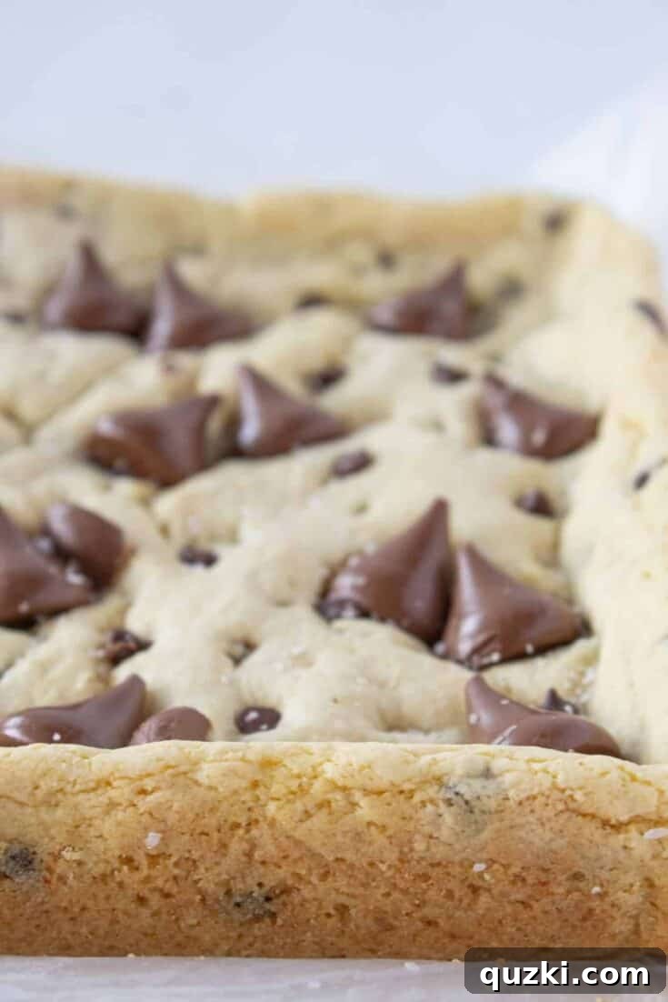 Brown Butter Hershey's Kiss Cookie Bars with melted chocolate on top.