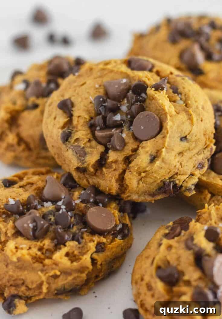 Pumpkin Chocolate Chip Cookies with a Cake Mix, soft, spiced, and studded with chocolate.