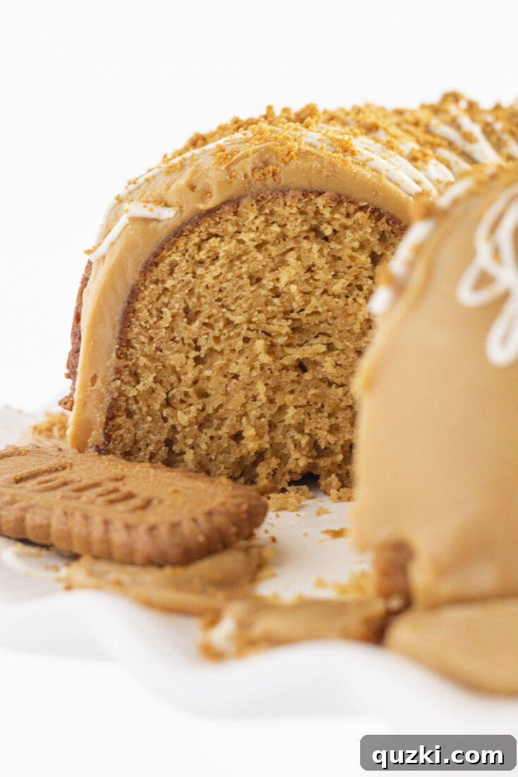 Super Easy Biscoff Cookie Butter Cake, a bundt cake with frosting and cookie pieces.