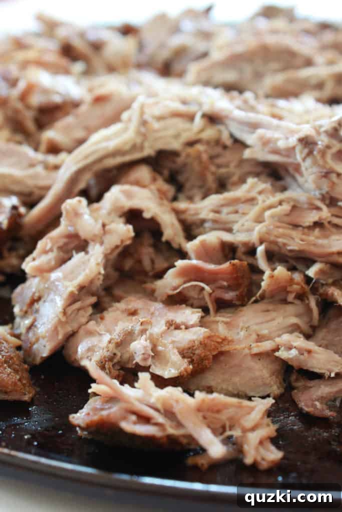 Crock Pot Pulled Pork Recipe featured by top US food blog, Practically Homemade