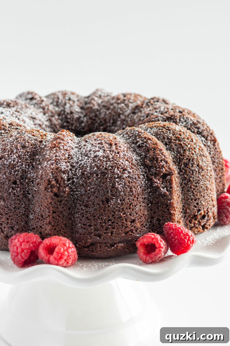 Super Easy Chocolate Brownie Bundt Cake, a delightful dessert for Father's Day.