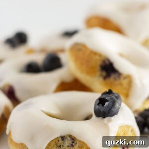 Blueberry Cake Donuts ready to serve with fresh blueberries and glaze.