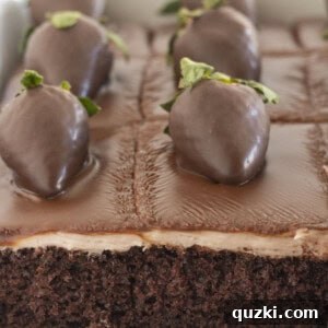 A chocolate covered strawberry cake with a few pieces already eaten, illustrating the layers and deliciousness.