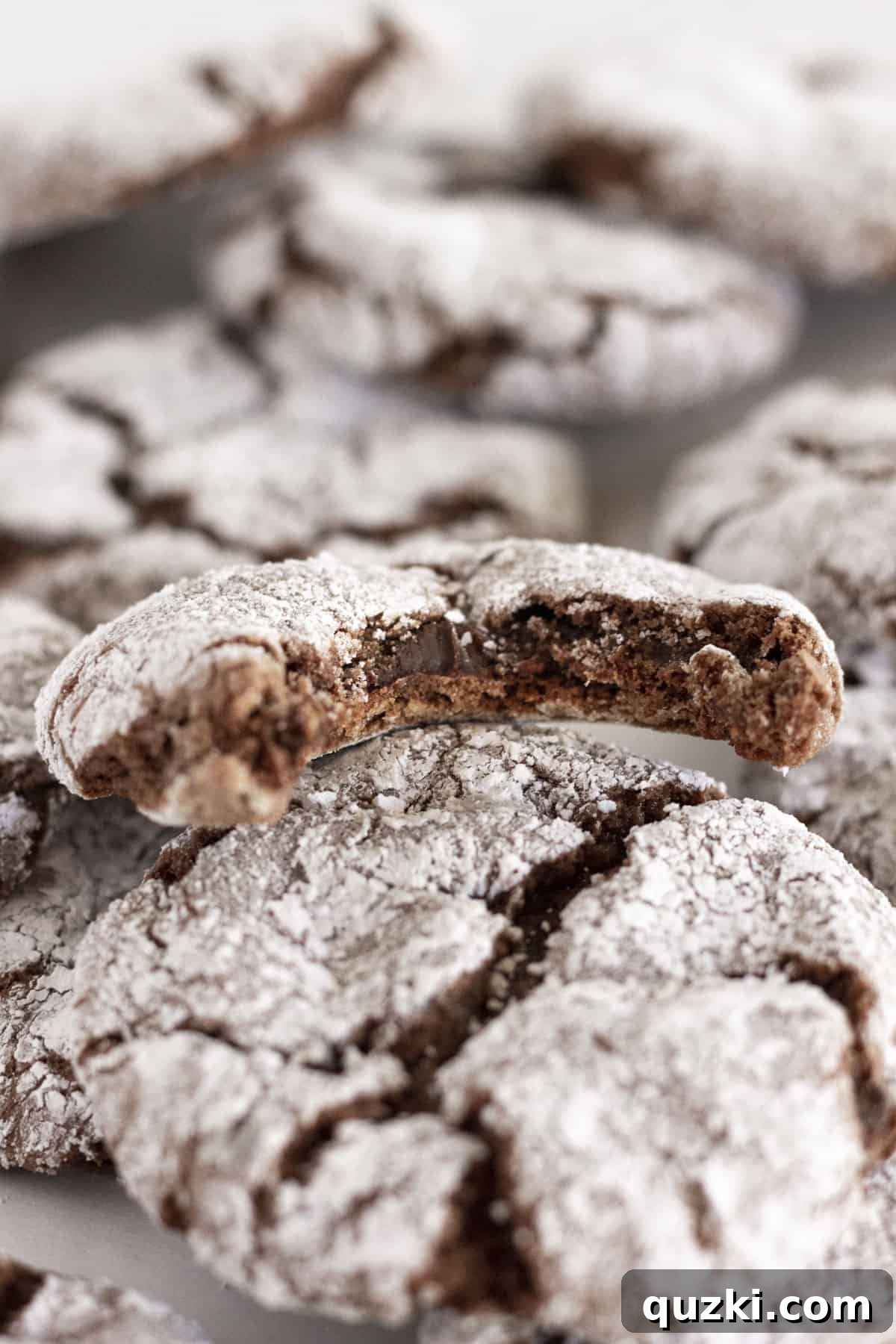 Cake Mix Cookie Magic: Decadent Chocolate Treats 18 A tray of irresistible Double Chocolate Cake Mix Crinkle Cookies, generously dusted with powdered sugar.