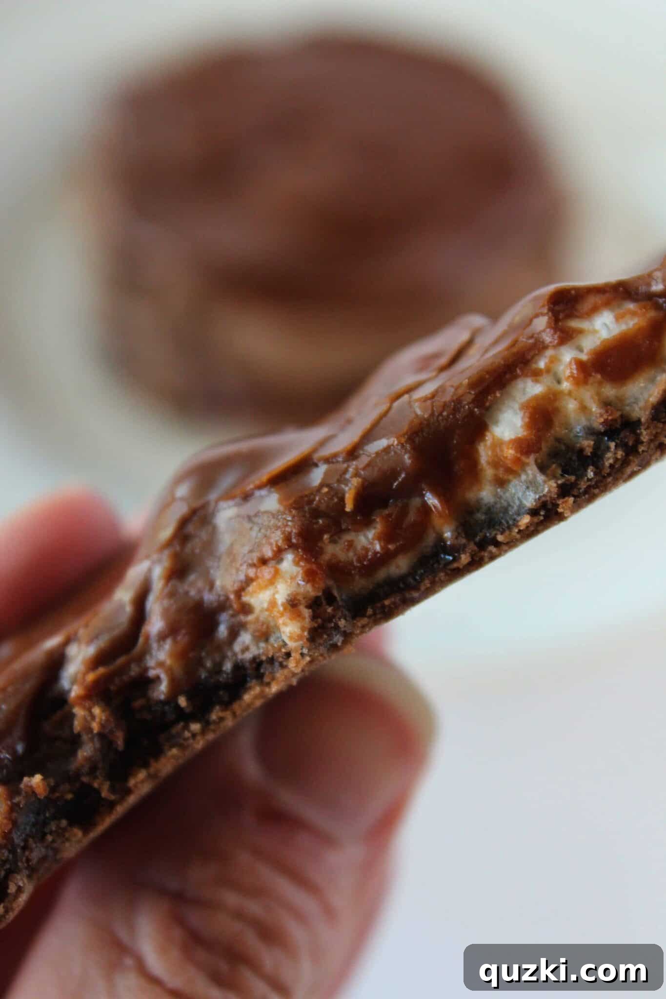Cake Mix Cookie Magic: Decadent Chocolate Treats 23 A hand holding a rich Mississippi Mud Cookie, showcasing its gooey, indulgent layers.