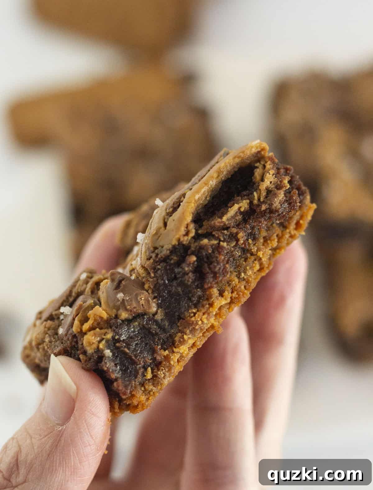 Fudgy Biscoff Cookie Butter Swirl Brownies 12 A Biscoff brownie with a bite taken, revealing all the delicious layers of crust, brownie, and cookie butter swirl.