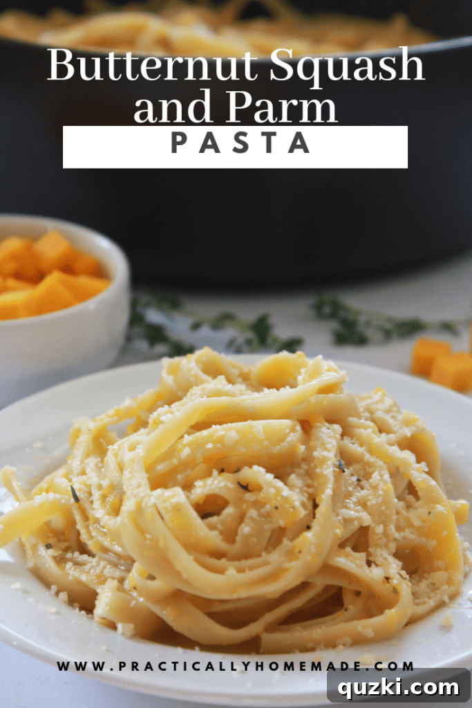 Golden Butternut Parmesan Pasta 2 Creamy Butternut Squash and Parmesan Pasta ready to serve, garnished with fresh herbs and cheese. A perfect fall comfort food.