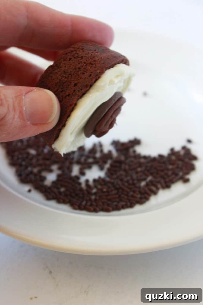 Ghoulishly Good Halloween Brownie Bites 11 A chocolate melting wafer on a brownie covered in chocolate frosting and then coated in chocolate sprinkles to form a spider's body.