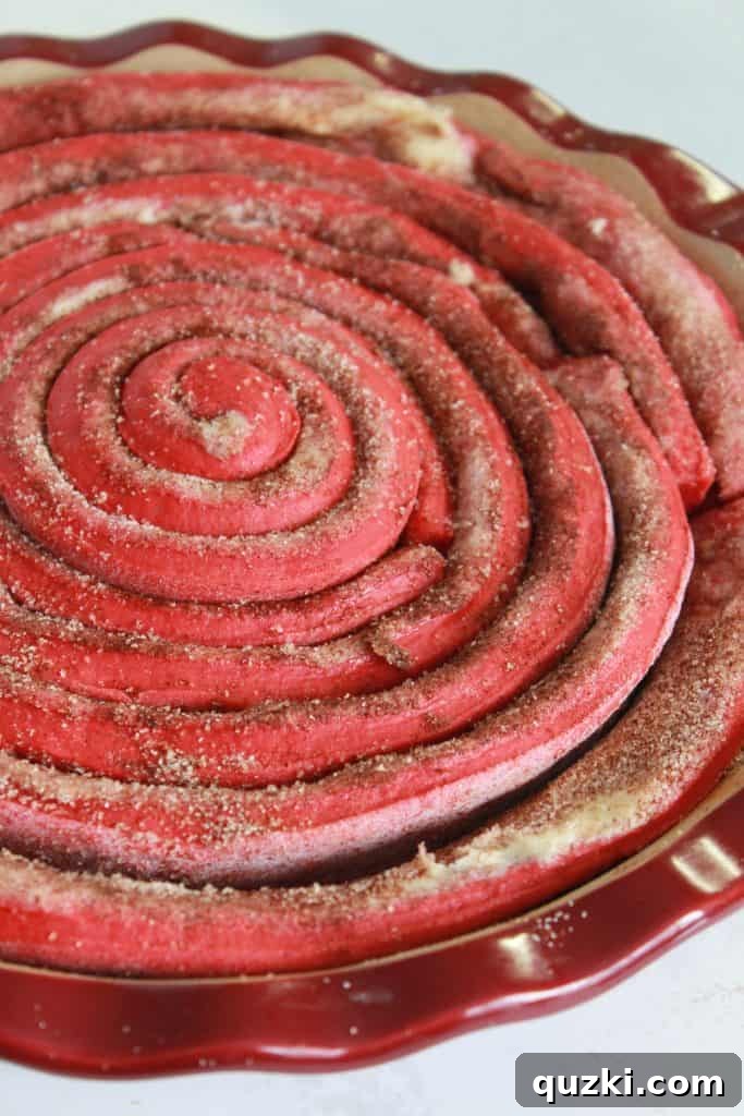 The giant red velvet cinnamon roll cake fully assembled in the pie plate, showcasing its beautiful spiral before the final proofing.