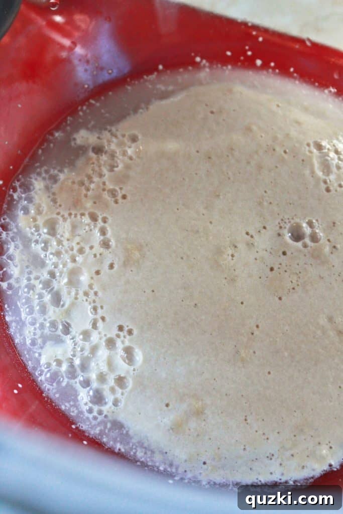 Close-up of rapid rise yeast activating and becoming bubbly in warm water, indicating it's ready for use.