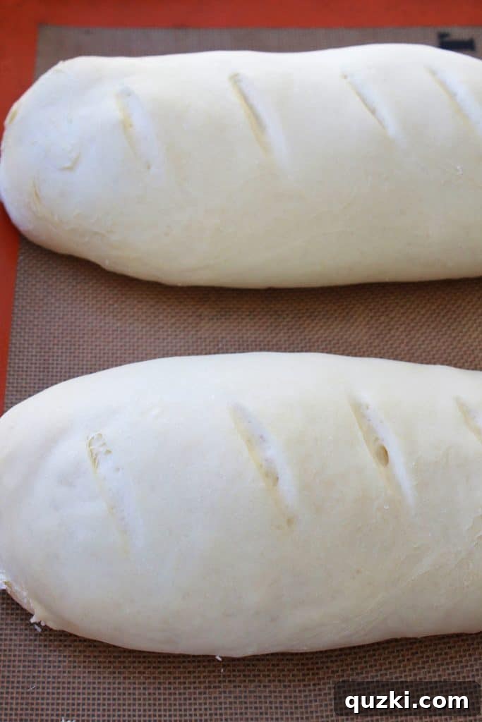 Perfectly risen French bread dough on a baking sheet, expanded and airy, ready to be baked into golden loaves.
