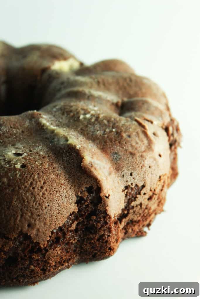 Decadent Black Bottom Bundt Cake 7 Freshly baked Black Bottom Bundt Cake cooling on a wire rack, awaiting its luscious chocolate frosting