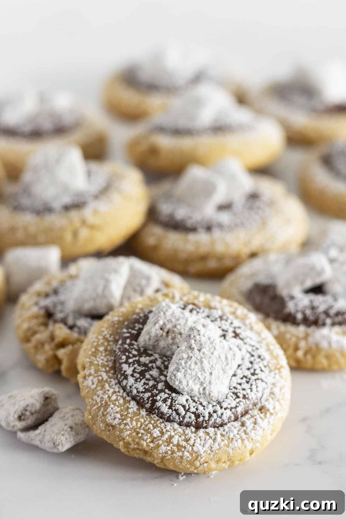 A beautifully arranged plate of Muddy Buddy Cookies, showcasing the rich chocolate ganache and powdered sugar, ready for serving at a gathering.