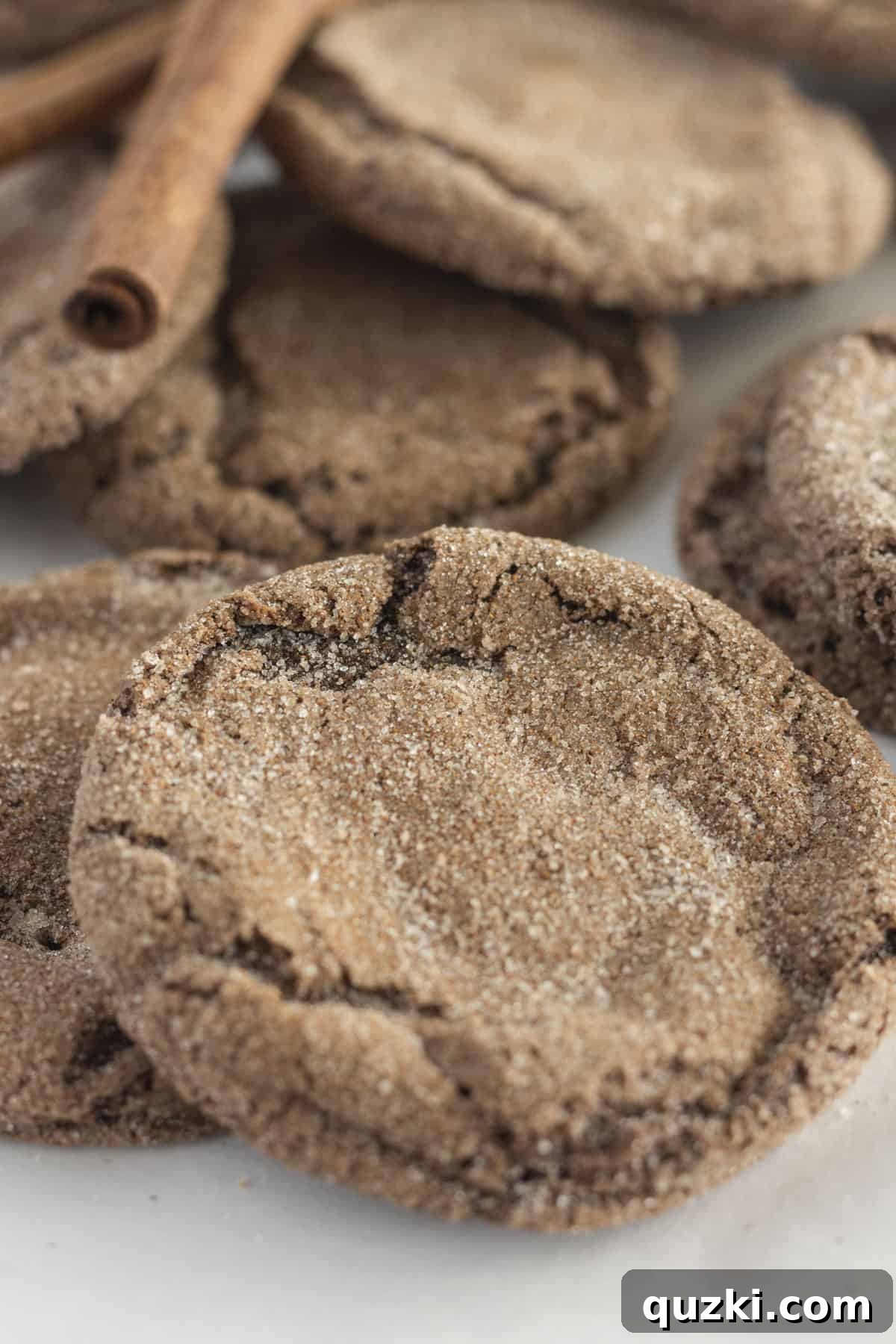 Spicy Mexican Chocolate Delights 7 Mexican Hot Chocolate Cookies arranged on top of each other with a couple of cinnamons sticks.