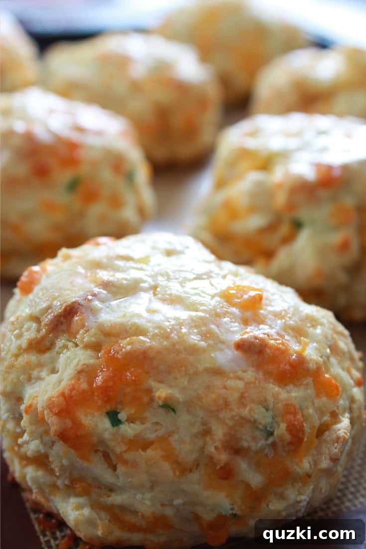 Golden brown baked cheddar and chive Irish soda bread biscuits, ready to be served and enjoyed.