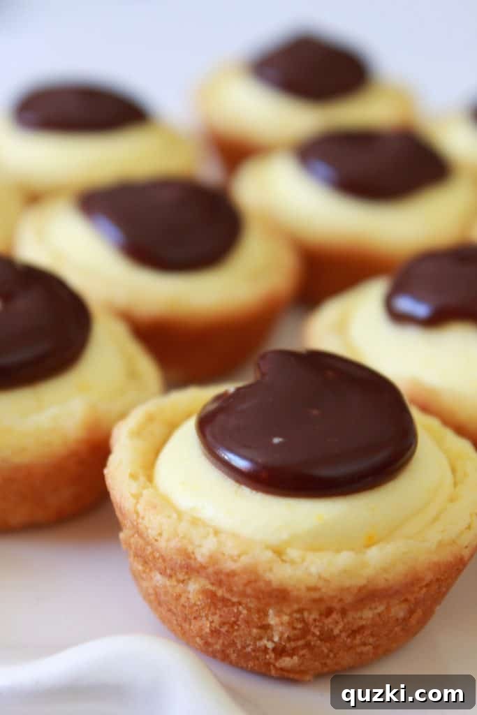 Effortless Boston Cream Pie Cookie Treats 15 Boston Cream Pie Cookie Bites with chocolate ganache on top