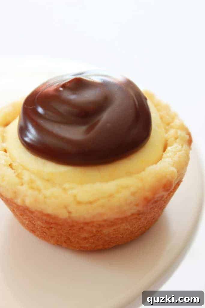 Effortless Boston Cream Pie Cookie Treats 16 Close-up of a tray of Boston Cream Pie Cookie Bites