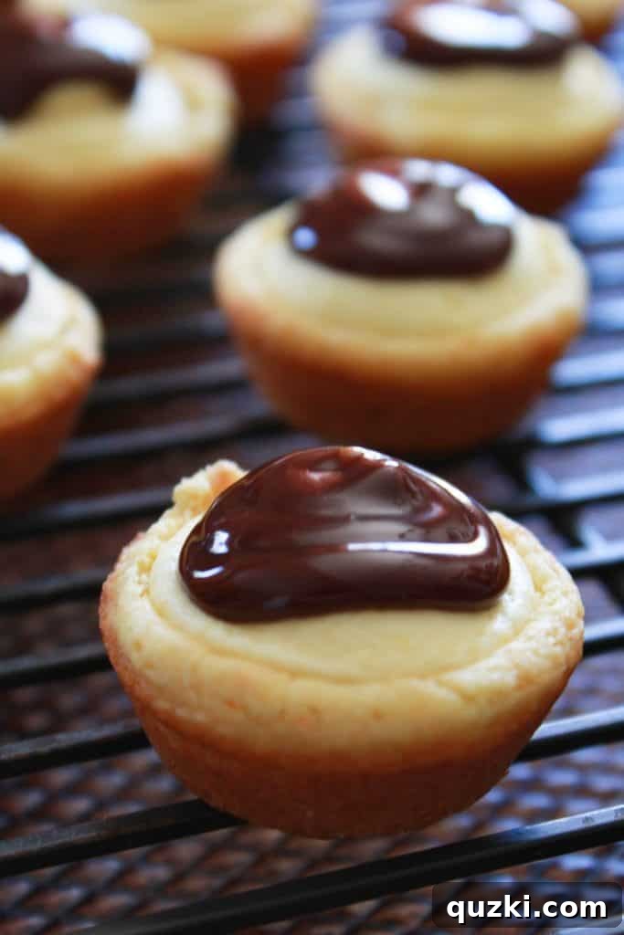 Effortless Boston Cream Pie Cookie Treats 4 Easy Boston Cream Pie Cookie Bites Recipe featured by top US food blog, Practically Homemade