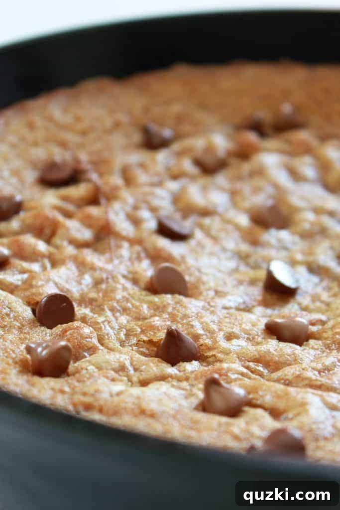 Decadent Skillet Chocolate Chip Cookie 9 Freshly baked Chocolate Chip Skillet Pizookie, golden brown with melted chocolate chips on top