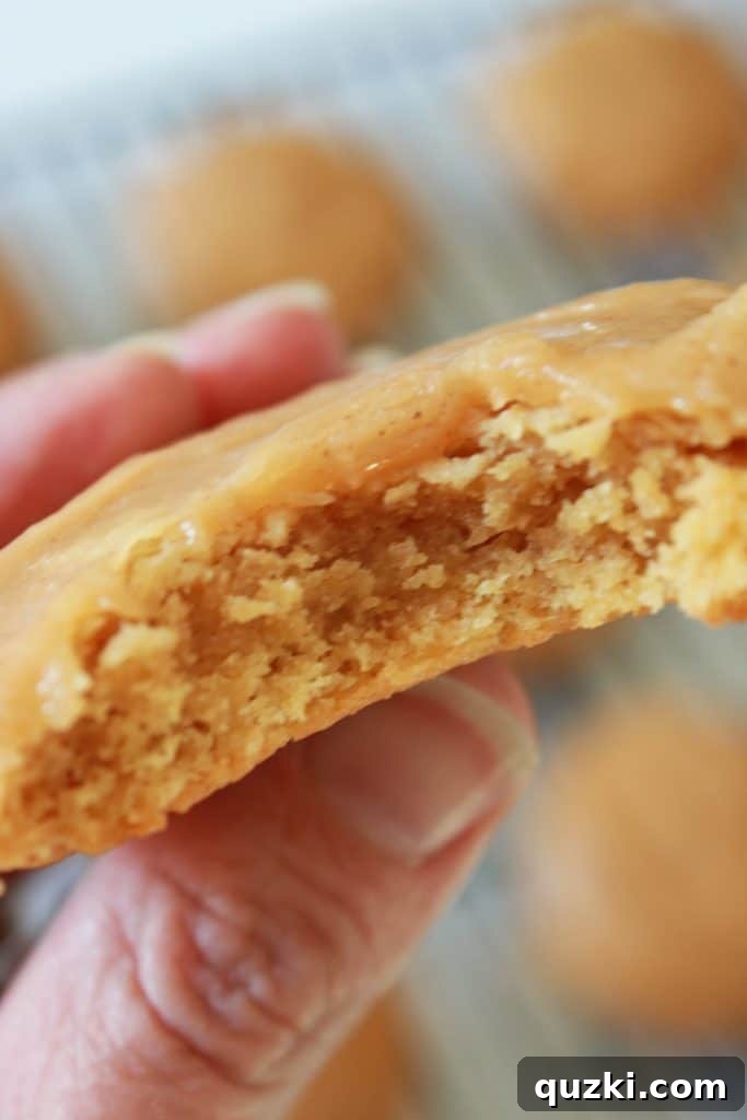 Easy Peanut Butter Texas Sheet Cake Cookies recipe featured by top US food blog, Practically Homemade