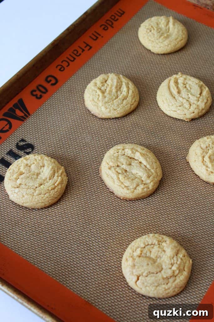 Easy Peanut Butter Texas Sheet Cake Cookies recipe featured by top US food blog, Practically Homemade