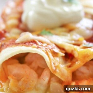 Two shrimp enchiladas on a white plate with sour cream and cilantro on top.