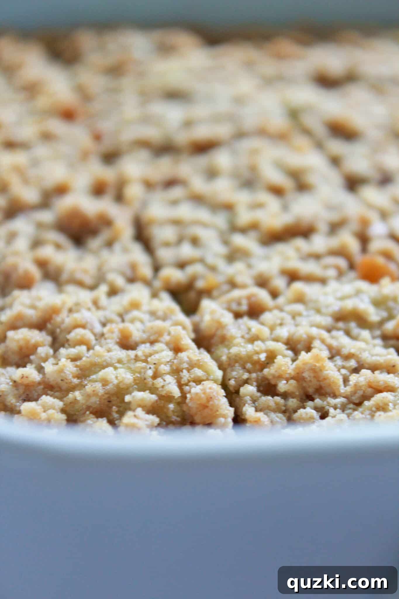 Effortless Zucchini Crumb Cake 10 Delicious Easy Zucchini Crumb Cake, expertly cut into perfect squares within the baking pan, ready to be served and enjoyed.