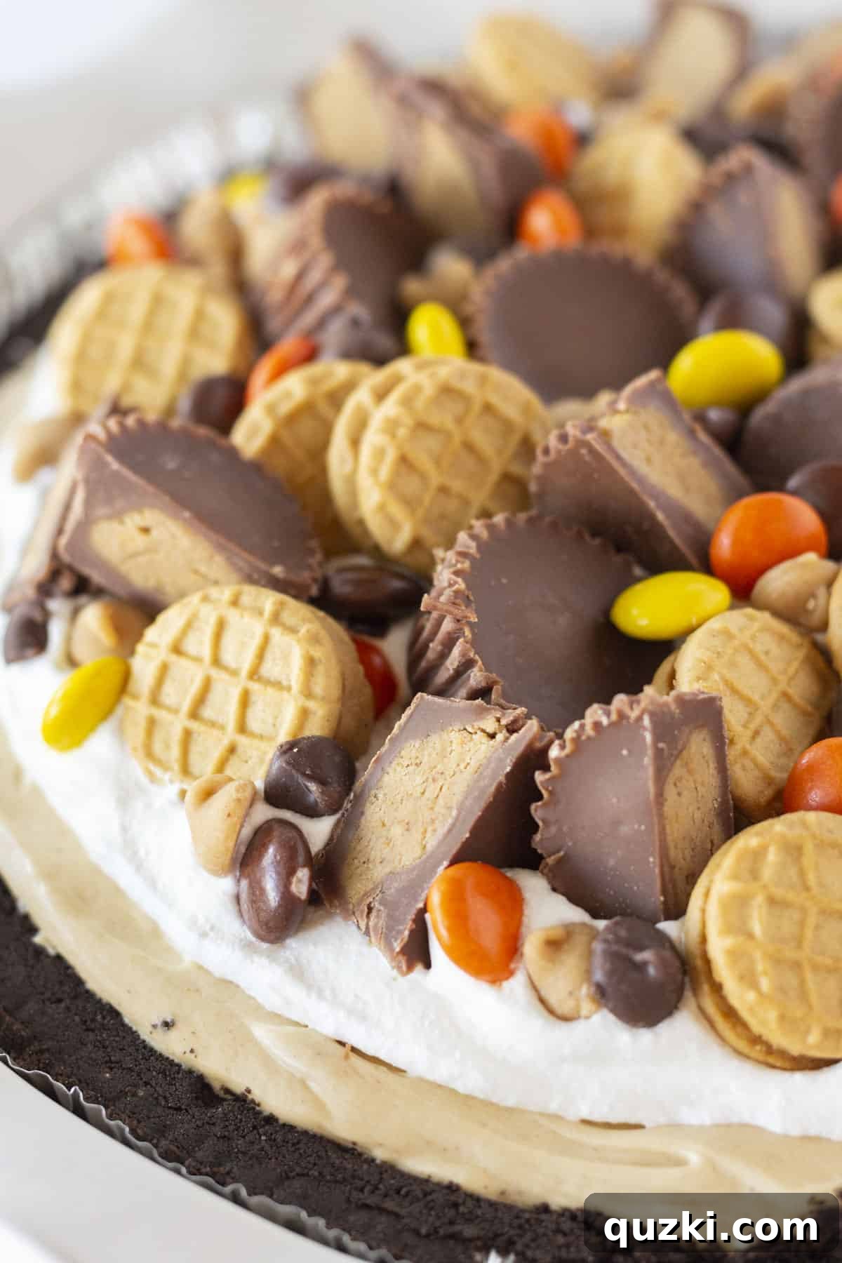 Simple No Bake Peanut Butter Perfection 2 A finished peanut butter pie with lots of toppings, showcasing its delicious layers and vibrant presentation.