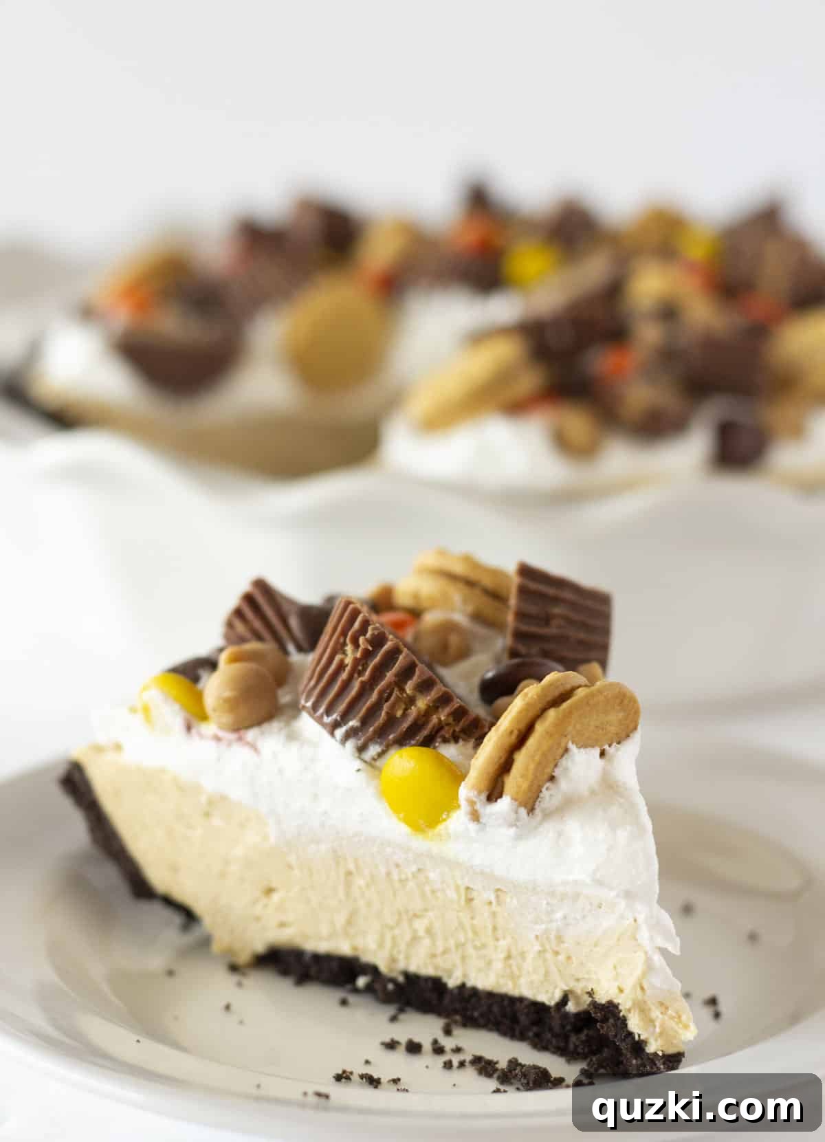 Simple No Bake Peanut Butter Perfection 7 Serving a piece of easy no bake peanut butter pie, showing its delightful texture and layers.