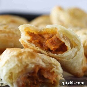 Turkey Empanadas Recipe featured by top US food blog, Practically Homemade.