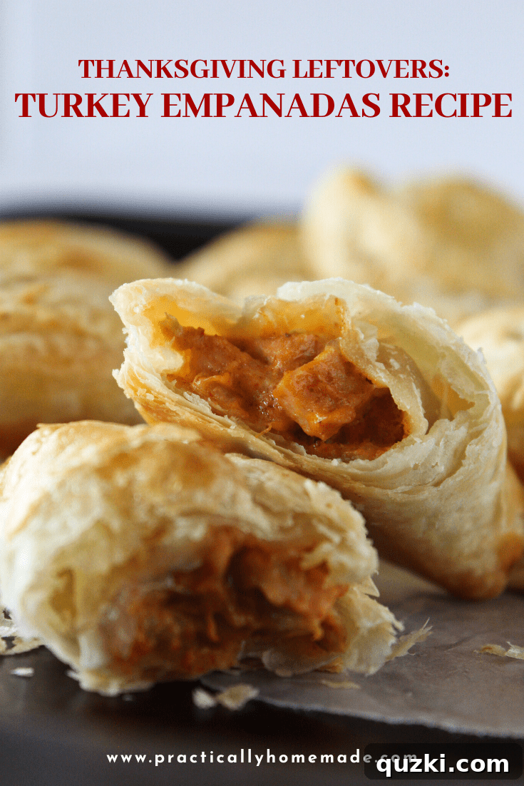 Thanksgiving Leftover Turkey Empanadas: A Delicious Reinvention 3 Close-up of a golden-brown Turkey Empanada, showcasing its flaky puff pastry crust and savory filling peaking out.